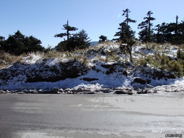 分享1月28日合歡山的雪~~
