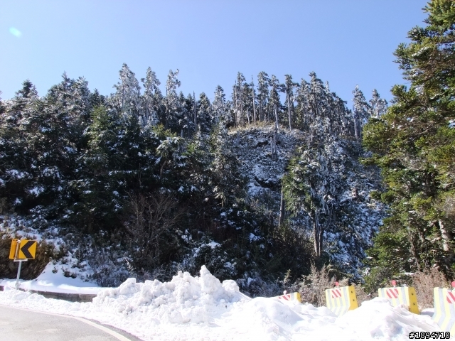 分享1月28日合歡山的雪~~
