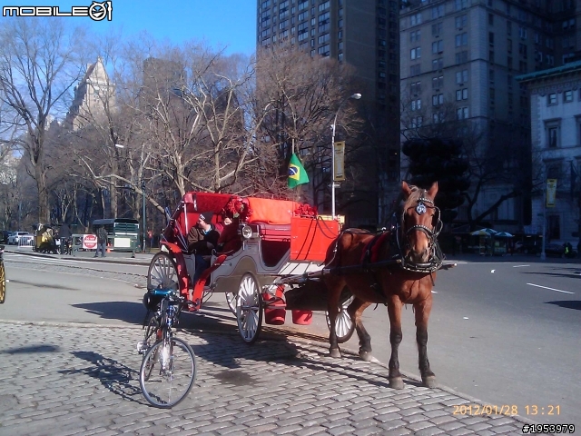 回紐約過年騎車(2)......寒冷中前進.....中央公園(central park)之美!