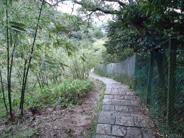 2012/01/23新春過年台北市天母古道行
