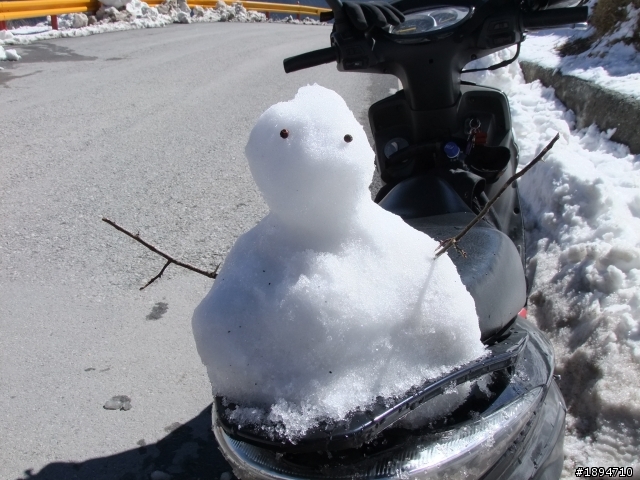 分享1月28日合歡山的雪~~