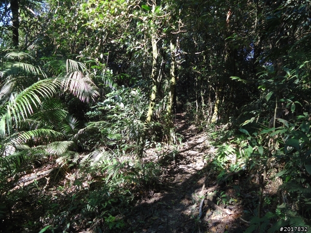 2012/01/19高雄大津尾寮山