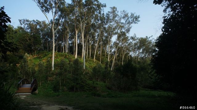 台南六甲鎮南宮後山步道(烏山頭水庫步道)運動去