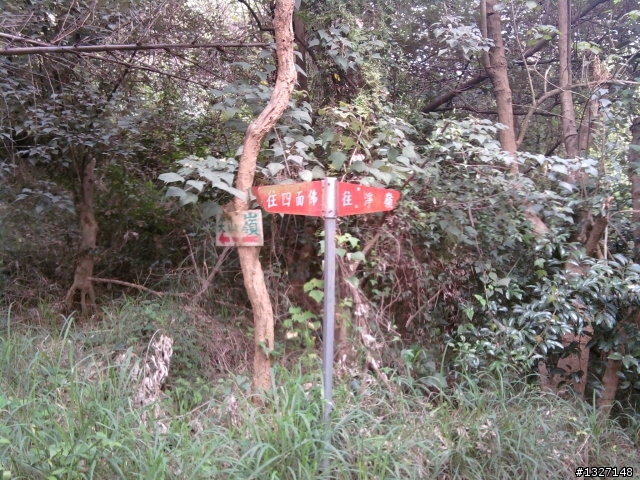 鳥松 坔埔山