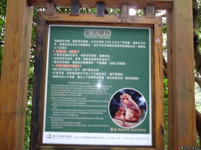 2012/01/23新春過年台北市天母古道行