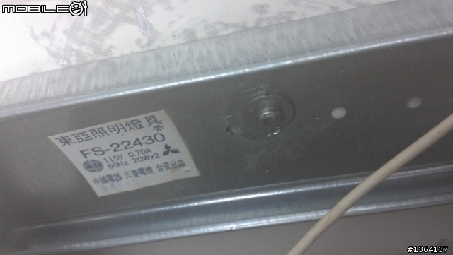 "求救" 天啊!!這到底是什麼壁虎啊