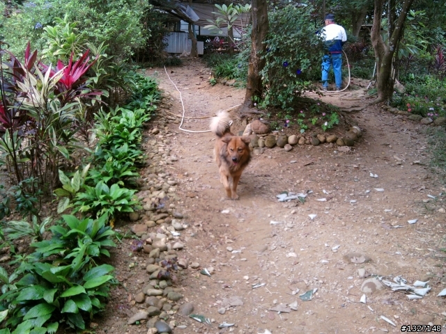 鳥松 坔埔山