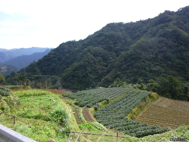 兩人5天4夜之環島旅遊