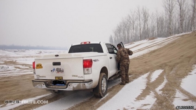 對岸的貨卡熱！！Toyota tundra VS dodge ram VS f150 svt!!!