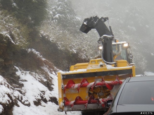 過年初三賞雪行