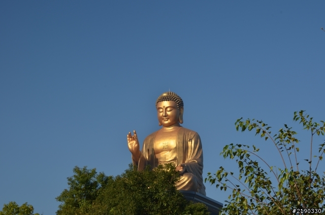 新春D5100+Sigma 17-70 F2.8-4.0 遊佛光