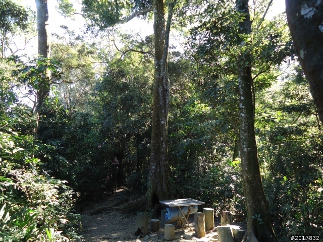 2012/01/19高雄大津尾寮山
