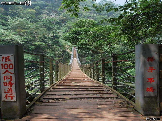 南投竹山天梯富御民宿
