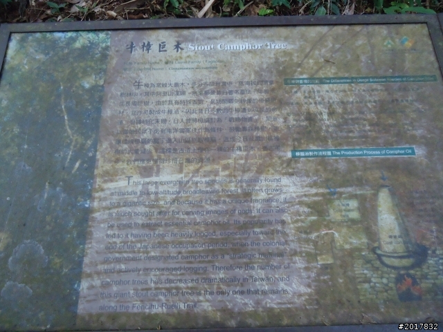 2012-01-29瑞太古道(純圖片)