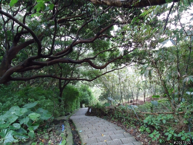 2012/01/23新春過年台北市天母古道行