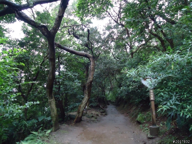 2012/01/23新春過年台北市天母古道行