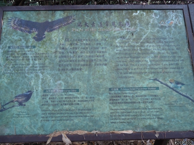 2012-01-29瑞太古道(純圖片)