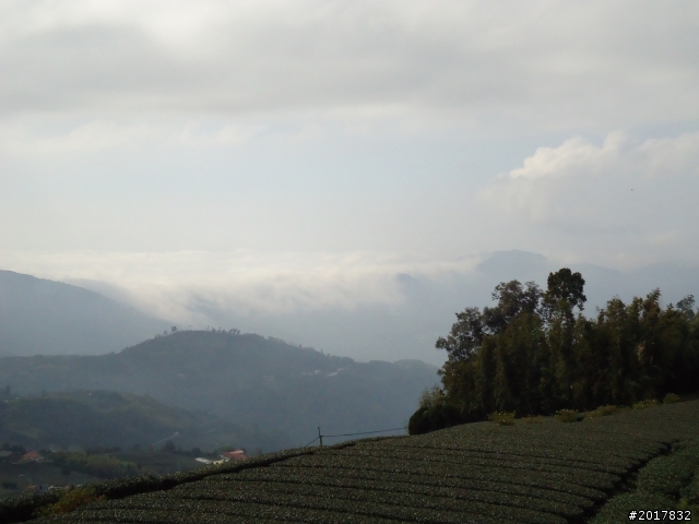 2012-01-29瑞太古道(純圖片)