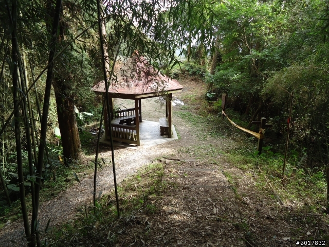 2012-01-29瑞太古道(純圖片)