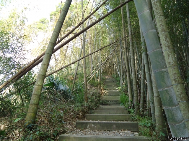 2012-01-29瑞太古道(純圖片)