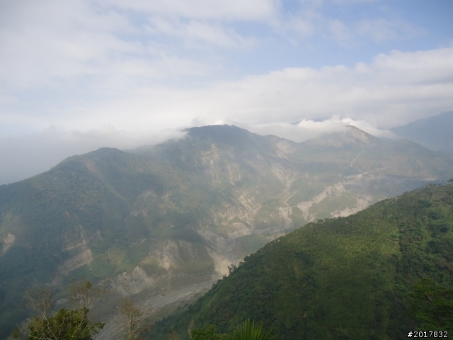 2012-01-29瑞太古道(純圖片)