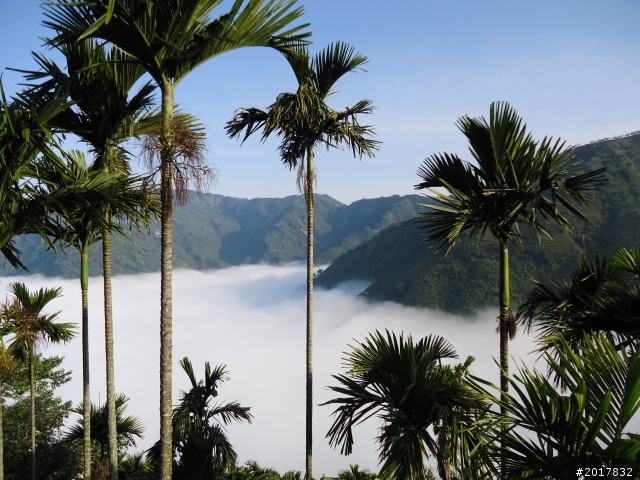 2012-01-29瑞太古道(純圖片)