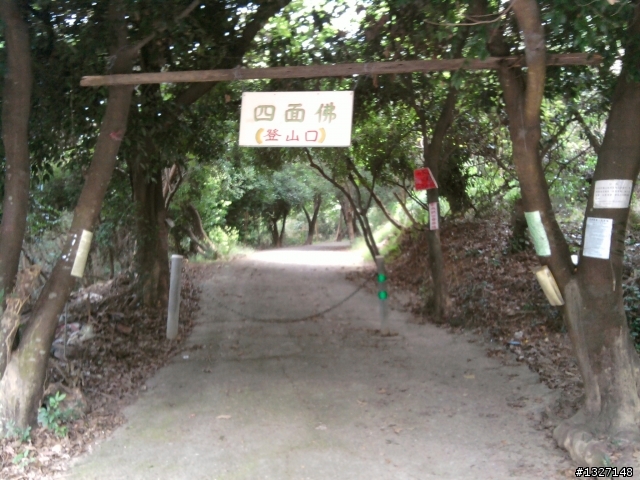 鳥松 坔埔山