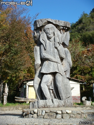 司馬庫斯古道-神木群