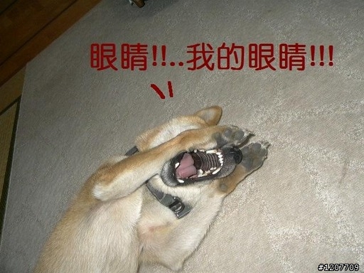 吃力又討好，2012 搖滾你的藍墾 Rock !