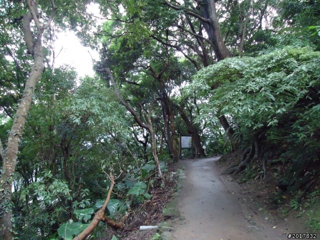 2012/01/23新春過年台北市天母古道行