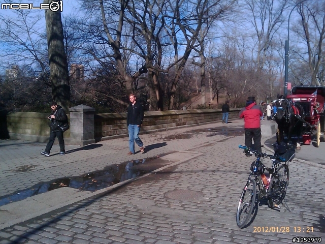回紐約過年騎車(2)......寒冷中前進.....中央公園(central park)之美!