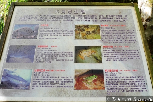 [景點] 杉林溪森林生態渡假園區 - 松瀧岩瀑布