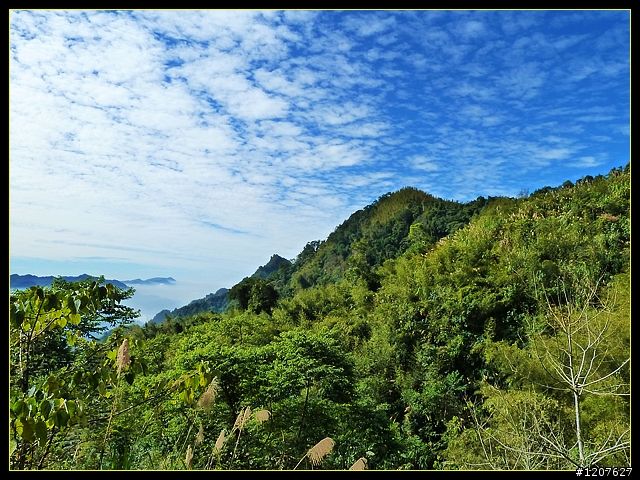 2012.01.10_台灣四大天王山之「四天皇山」登山休閒趣！