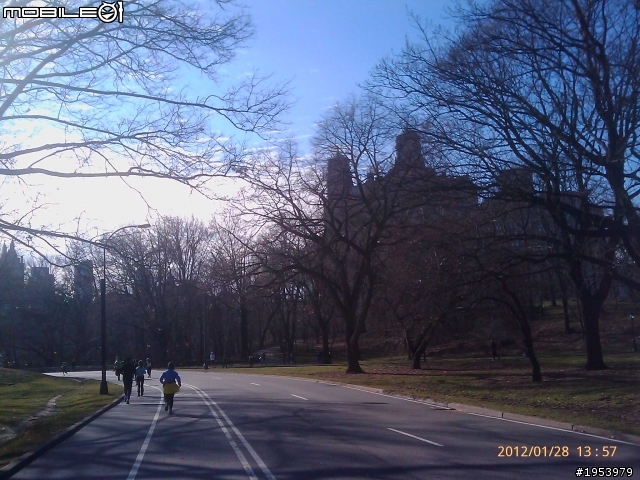 回紐約過年騎車(2)......寒冷中前進.....中央公園(central park)之美!