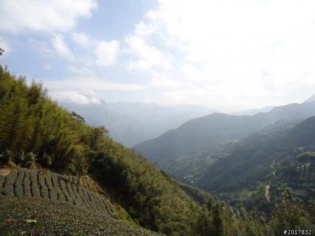 2012-01-29瑞太古道(純圖片)