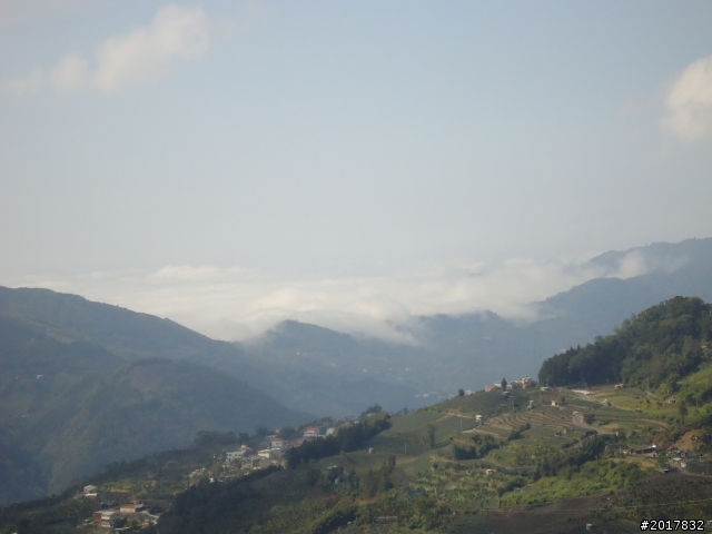 2012-01-29瑞太古道(純圖片)