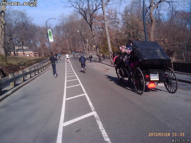 回紐約過年騎車(2)......寒冷中前進.....中央公園(central park)之美!