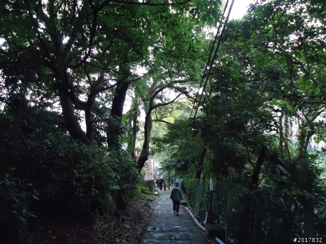 2012/01/23新春過年台北市天母古道行