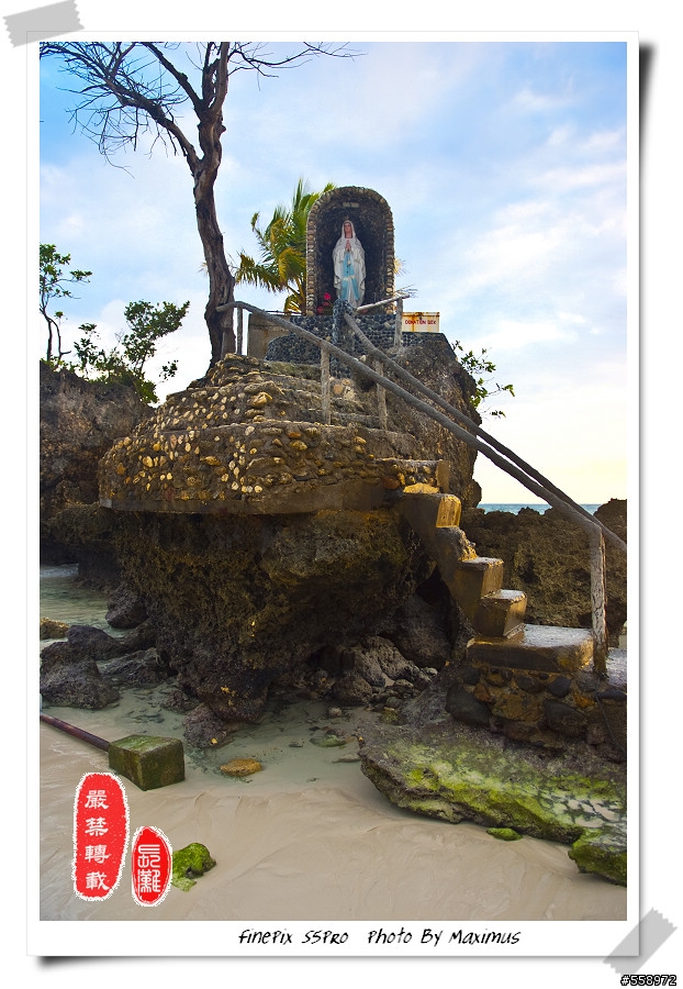 帶著S5 Pro重返長灘島( 2/27新增圖片 圖超多 ^_^!!! )