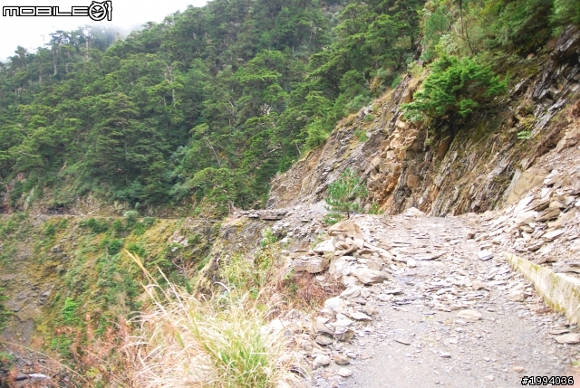 黑白神駒勇闖合歡溪