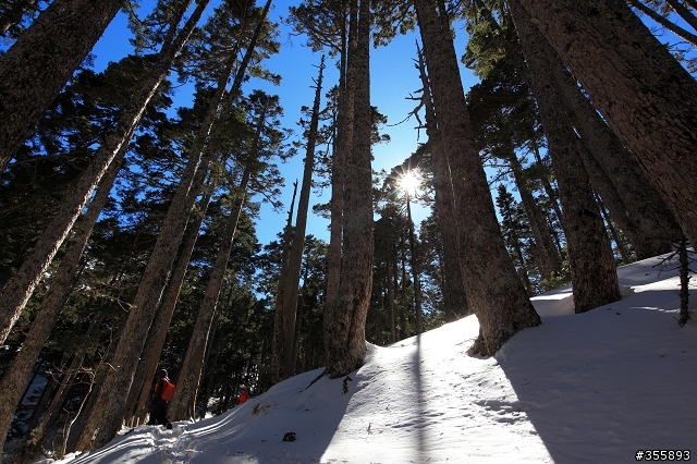 2012~雪山雪景之美