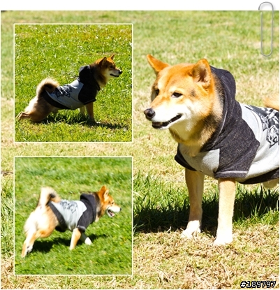 2012-02-14武陵農場
