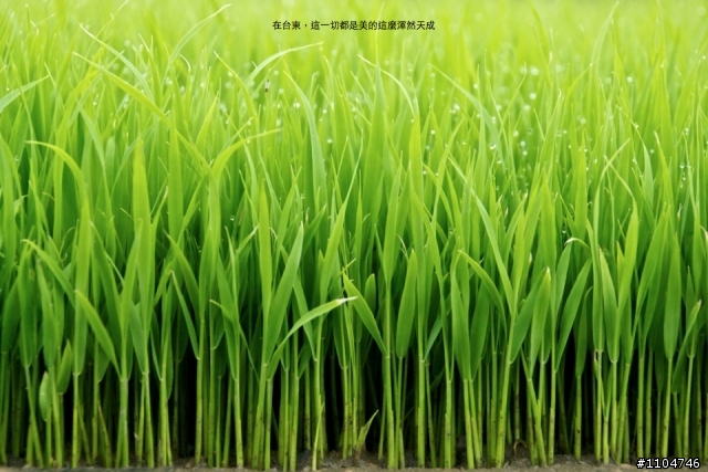 我與D80-kit環島之旅
