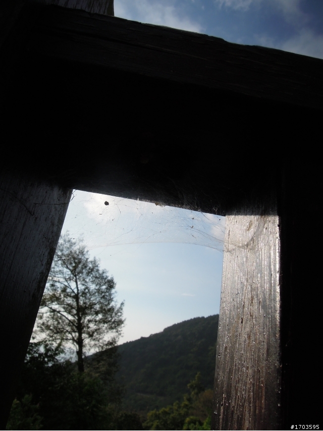 大雪山賞花賞鳥旅