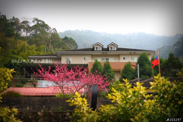 2012 橫山.內灣櫻花