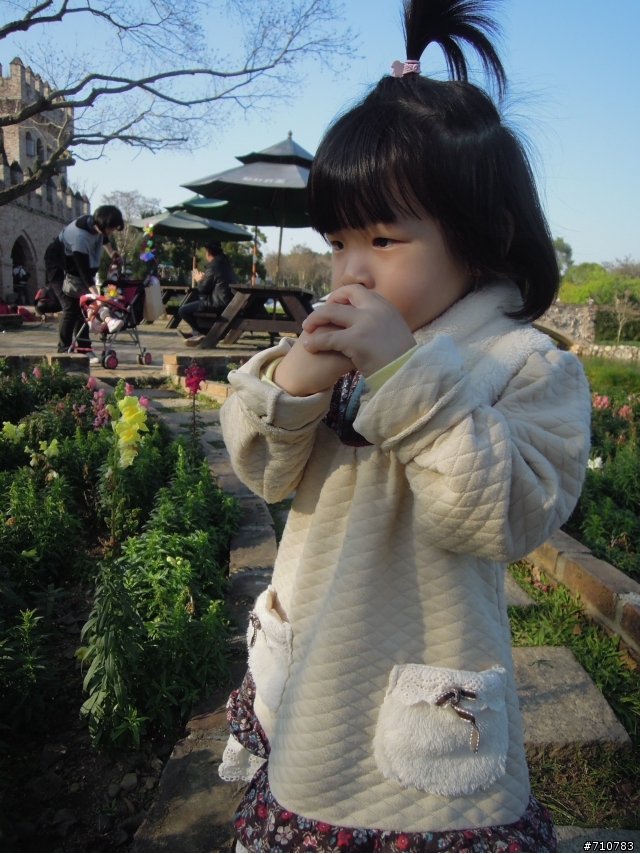 Nikon P300 維修選擇