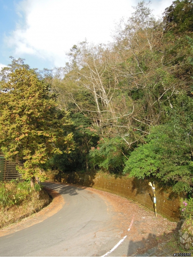 大雪山賞花賞鳥旅