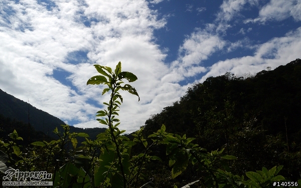 內洞森林遊樂區，看瀑布...