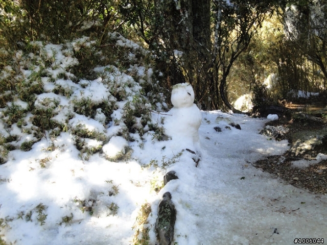 風起雲湧．雪舞向陽。