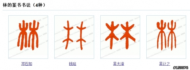 我覺得林書豪的T恤中文字版"林"用篆書比較適合!
